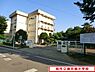 周辺：柏市立酒井根小学校まで550m、徒歩約7分お子様の通学も安心ですね♪