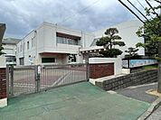 専修大学松戸幼稚園まで492m