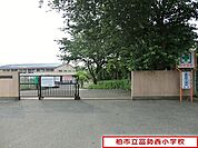 柏市立富勢西小学校まで606m