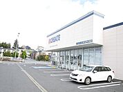 クリエイトエス・ディー松戸大金平店まで508m、徒歩約7分薬だけでなく日用品から食料品まで豊富な品揃え！