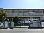 松戸市立小金北小学校まで586m、松戸市立小金北小学校