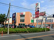 PAZ新柏まで983m、PAZ新柏