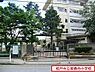 周辺：松戸市立梨香台小学校まで850m、徒歩約11分お子様の通学も安心ですね