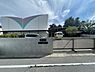 周辺：すみれ幼稚園まで954m