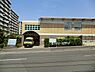 周辺：野菊野保育園まで766m