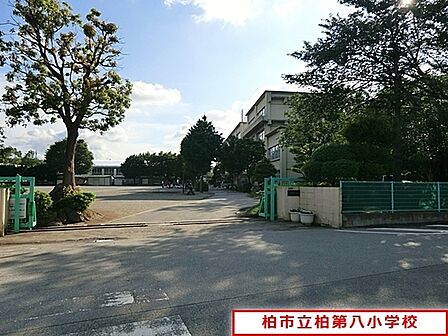 柏市立柏第八小学校まで210m、徒歩約3分お子様の通学も安心ですね