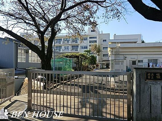 横浜市立篠原小...