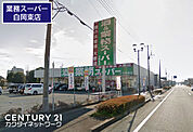 業務スーパー白岡東店まで1062m、業務スーパー白岡東店　徒歩14分