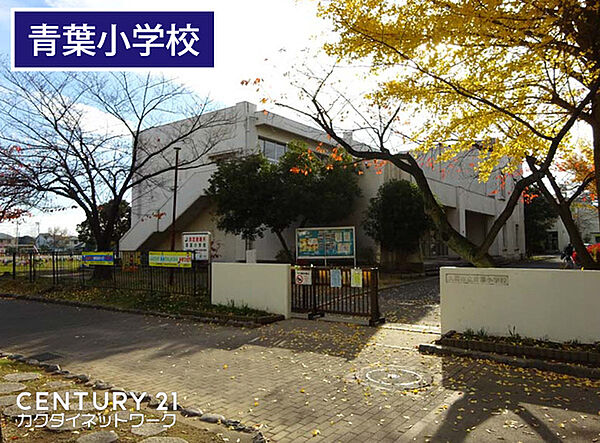 周辺を拡大表示