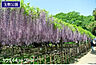 周辺：玉敷公園まで2528m、玉敷公園　徒歩32分