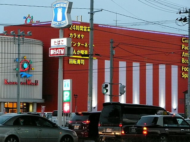 その他