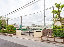 [周辺] 桜道中学校 730m
