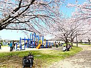 引地川親水公園まで920m、ピクニックに最適な遊具もたくさんある親水公園