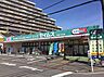 周辺：ドラッグセイムス 湘南台店まで205m、ドラッグセイムス 湘南台店