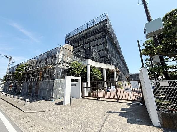 周辺を拡大表示