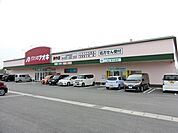 クスリのアオキまで983m