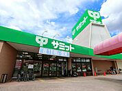 サミットストア太田窪店まで約728m