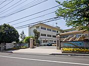 大東小学校まで約800m