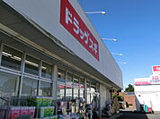 ドラッグスギ指扇店まで約700m