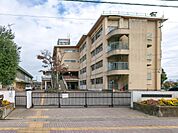 千間台小学校まで約272m