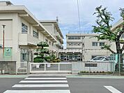 さいたま市立新和小学校 2500m