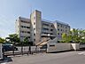 周辺：柏陽中学校まで約560m