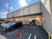 ウエルシア春日部豊春店まで約600m