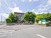 八王子中学校まで約650m