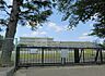 周辺：見沼小学校まで約290m