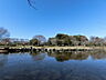 周辺：見沼氷川公園まで約320m