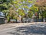 周辺：大宮北中学校まで約480m