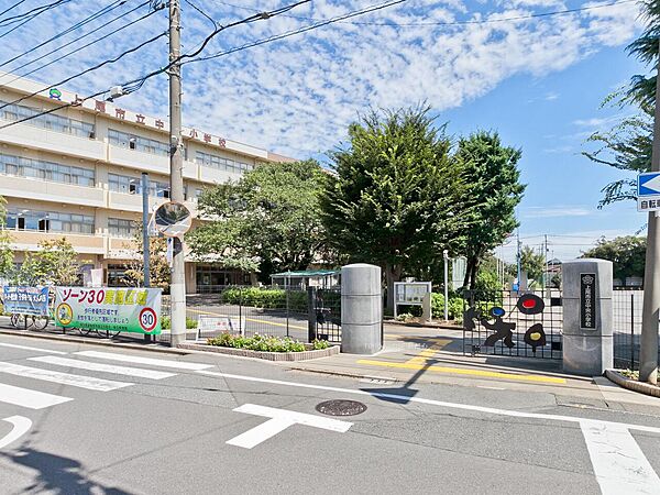 周辺を拡大表示