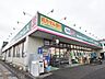周辺：ドラッグセイムス吉敷店まで約850ｍ