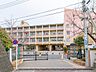 周辺：大谷場中学校まで約240m