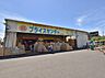 周辺：プライスセンター川口本店まで約1300m