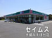 ドラッグセイムス大網みずほ台店まで501m
