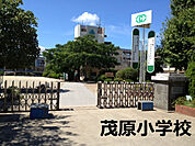茂原市立茂原小学校まで823m