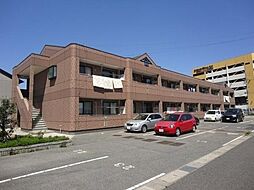 5 / 9