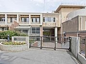 川崎市立向丘小学校まで550m、川崎市立向丘小学校