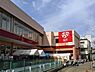 周辺：ロピア希望が丘店まで1100m、ロピア希望が丘店