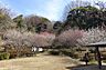 周辺：岡村公園まで1000m、岡村公園