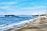 周辺：七里ガ浜海岸まで650m、七里ガ浜海岸
