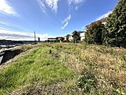 広々とした土地です