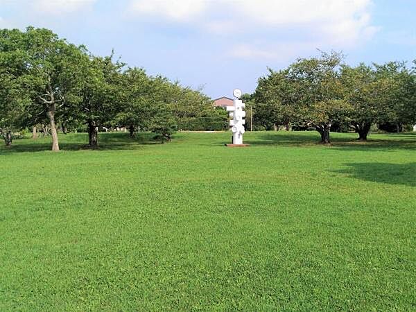 周辺を拡大表示