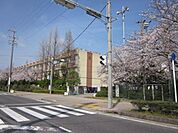 高浜中学校まで1800m