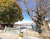 佐野みのり幼稚園まで1096m