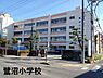 周辺：習志野市立鷺沼小学校まで488m