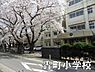 周辺：千葉市立轟町小学校まで239m