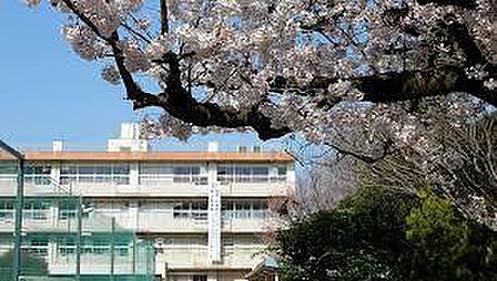 朝霞市立朝霞第四中学校まで893m
