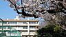 周辺：朝霞市立朝霞第四中学校まで620m